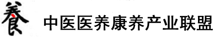 日本女人男人15美B